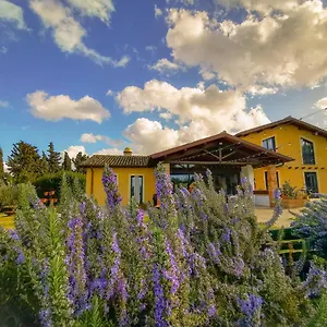  Vakantieboerderij Erba Regina